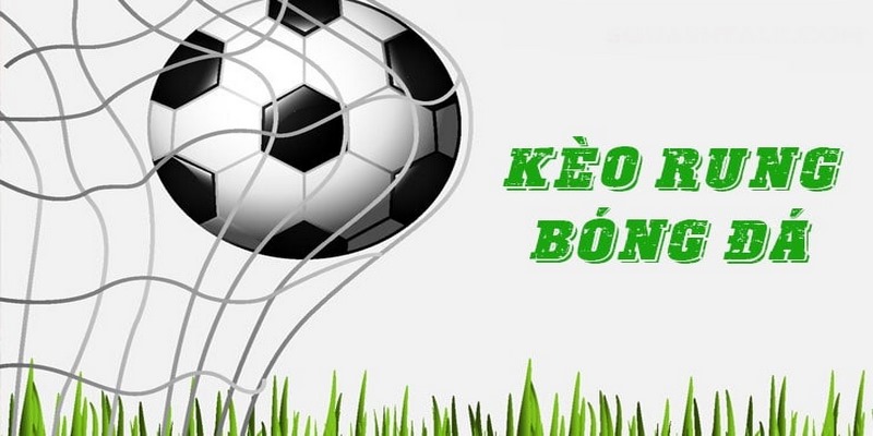 Kèo Rung Là Gì? Các Loại Cược Rung Thịnh Hành Nhất 2024 3 Kèo rung là gì? Tìm hiểu về kèo rung góc